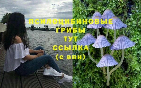 каннабис Алексин