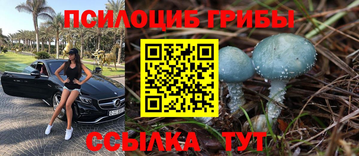 Слободской  Псилоцибиновые грибы Psilocybine cubensis  Вход с VPN 