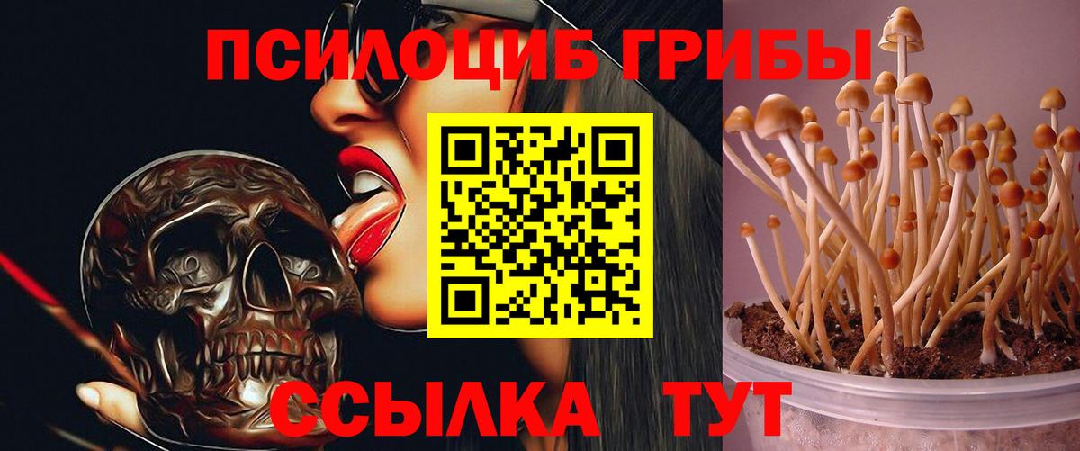 Псилоцибиновые грибы прущие грибы Слободской